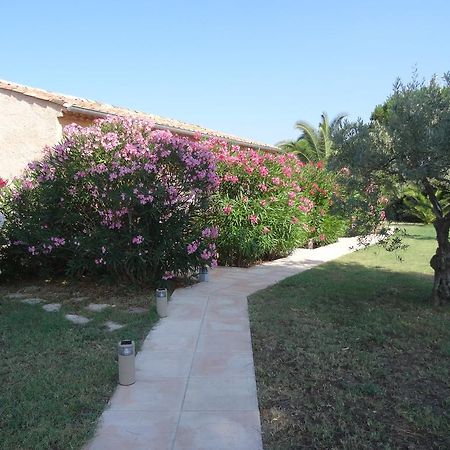 Chambres d'hôtes Villa Alizé Grimaud Esterno foto