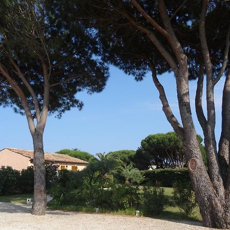 Chambres d'hôtes Villa Alizé Grimaud Esterno foto