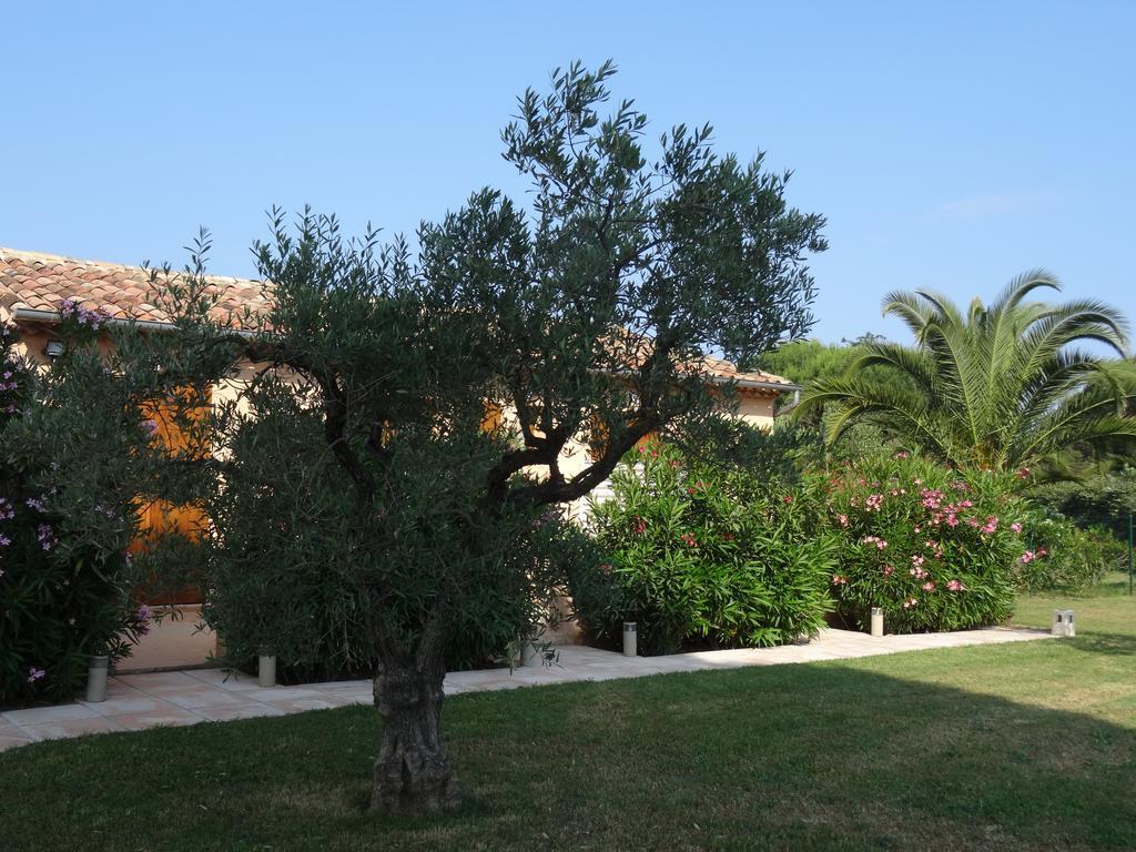 Chambres d'hôtes Villa Alizé Grimaud Esterno foto
